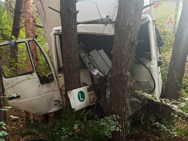 Вантажівка у Кропивницькому протаранила електроопору та вʼїхала в дерево (ФОТО)